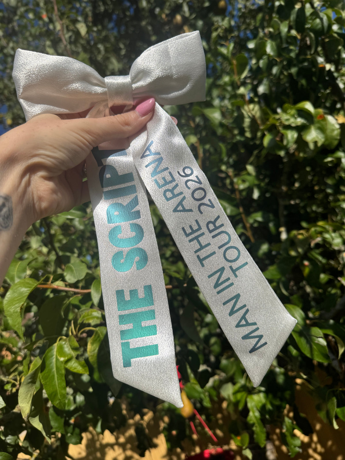 Inspired by the script - man in the arena tour bow