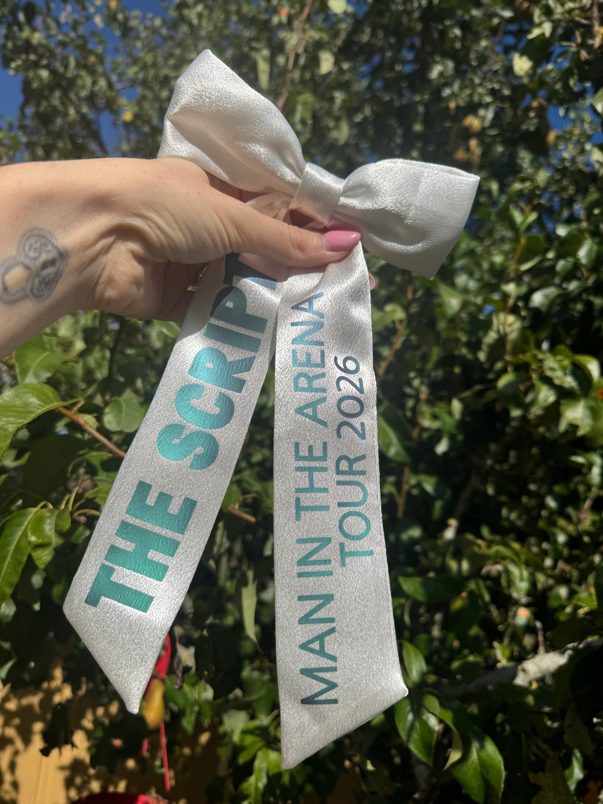 Inspired by the script - man in the arena tour bow