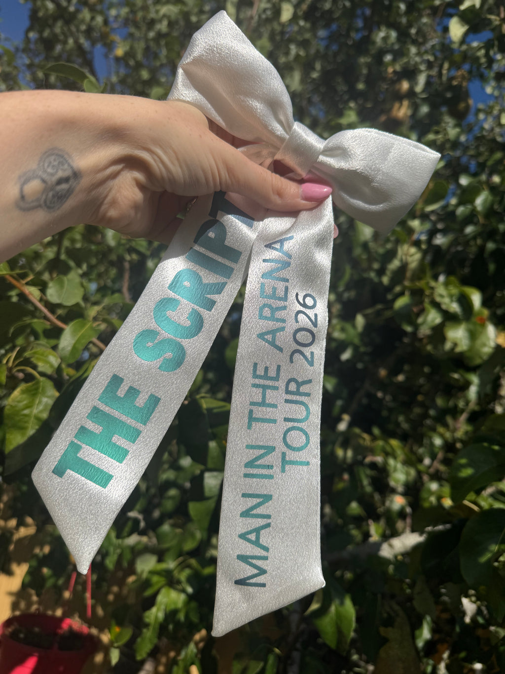 Inspired by the script - man in the arena tour bow