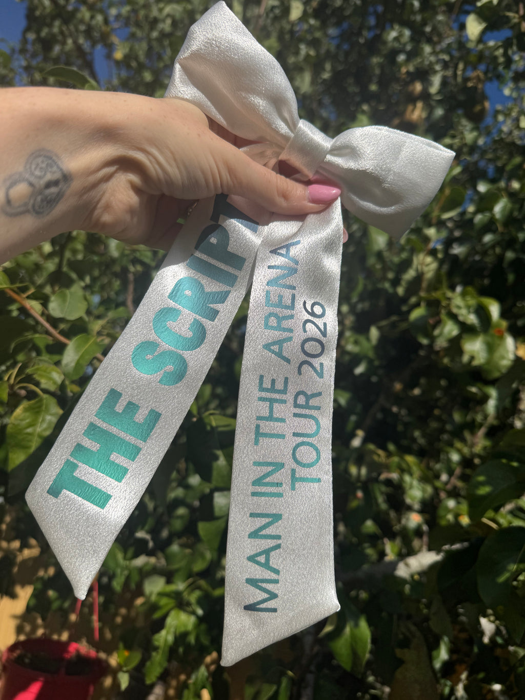 Inspired by the script - man in the arena tour bow