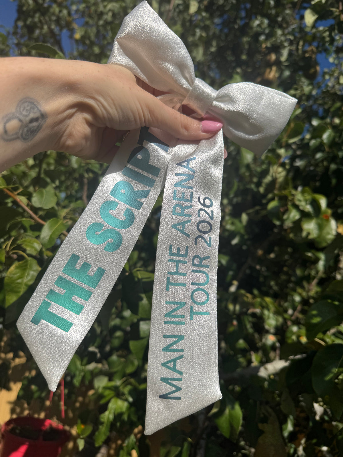 Inspired by the script - man in the arena tour bow