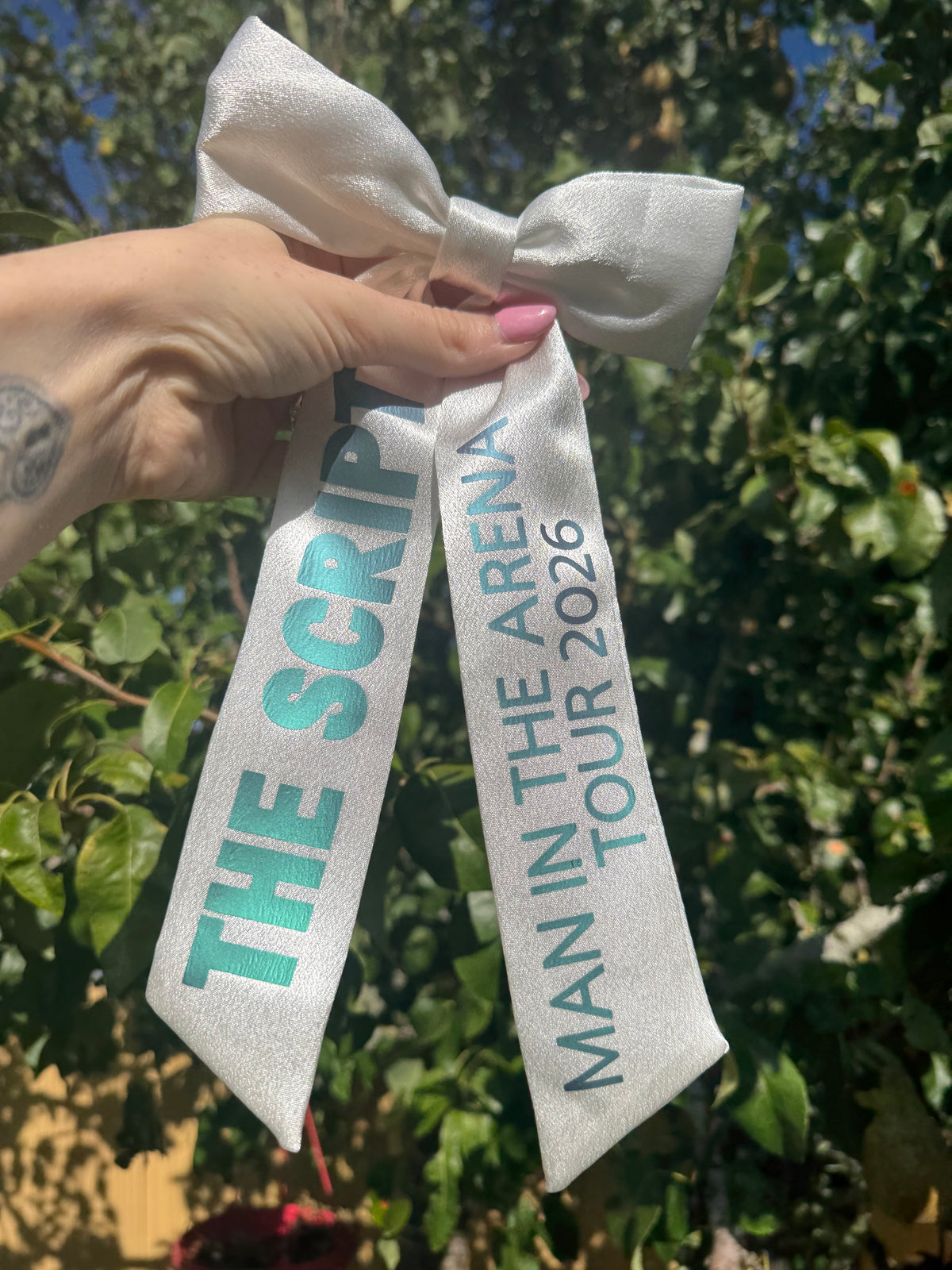 Inspired by the script - man in the arena tour bow