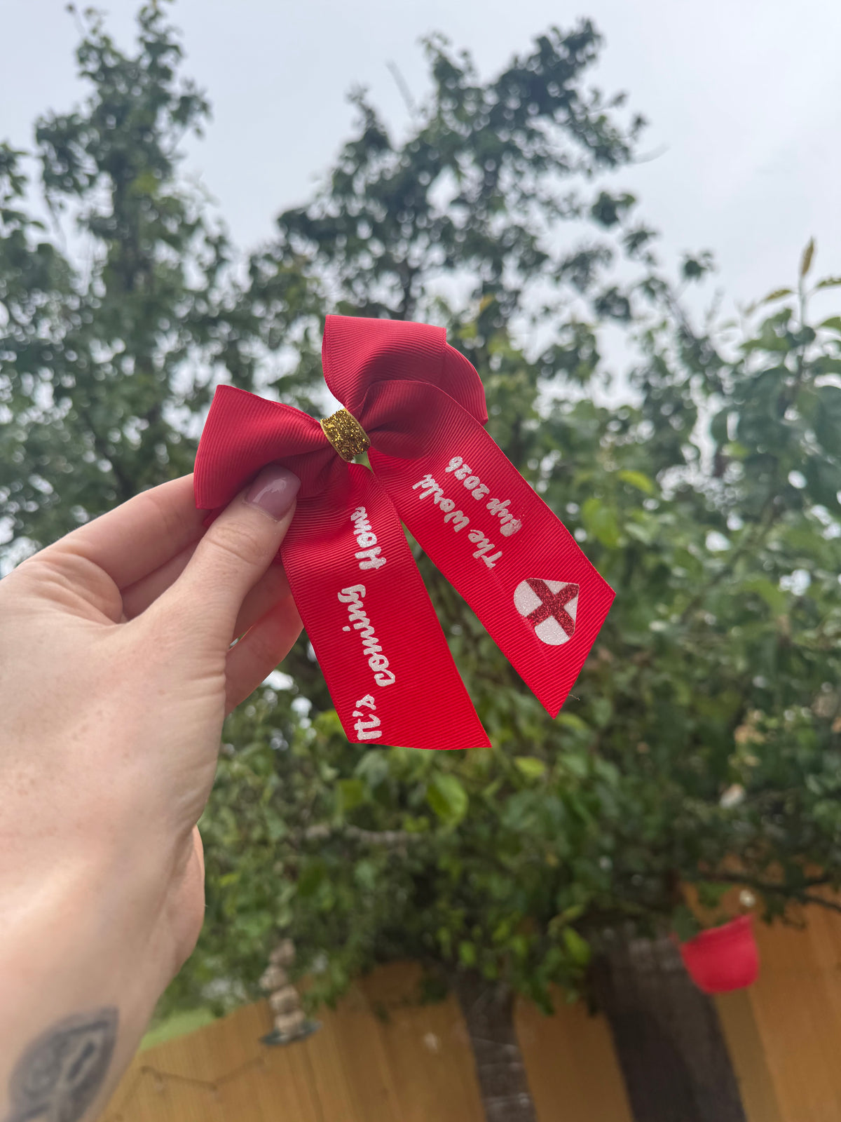 The world cup mini me bow