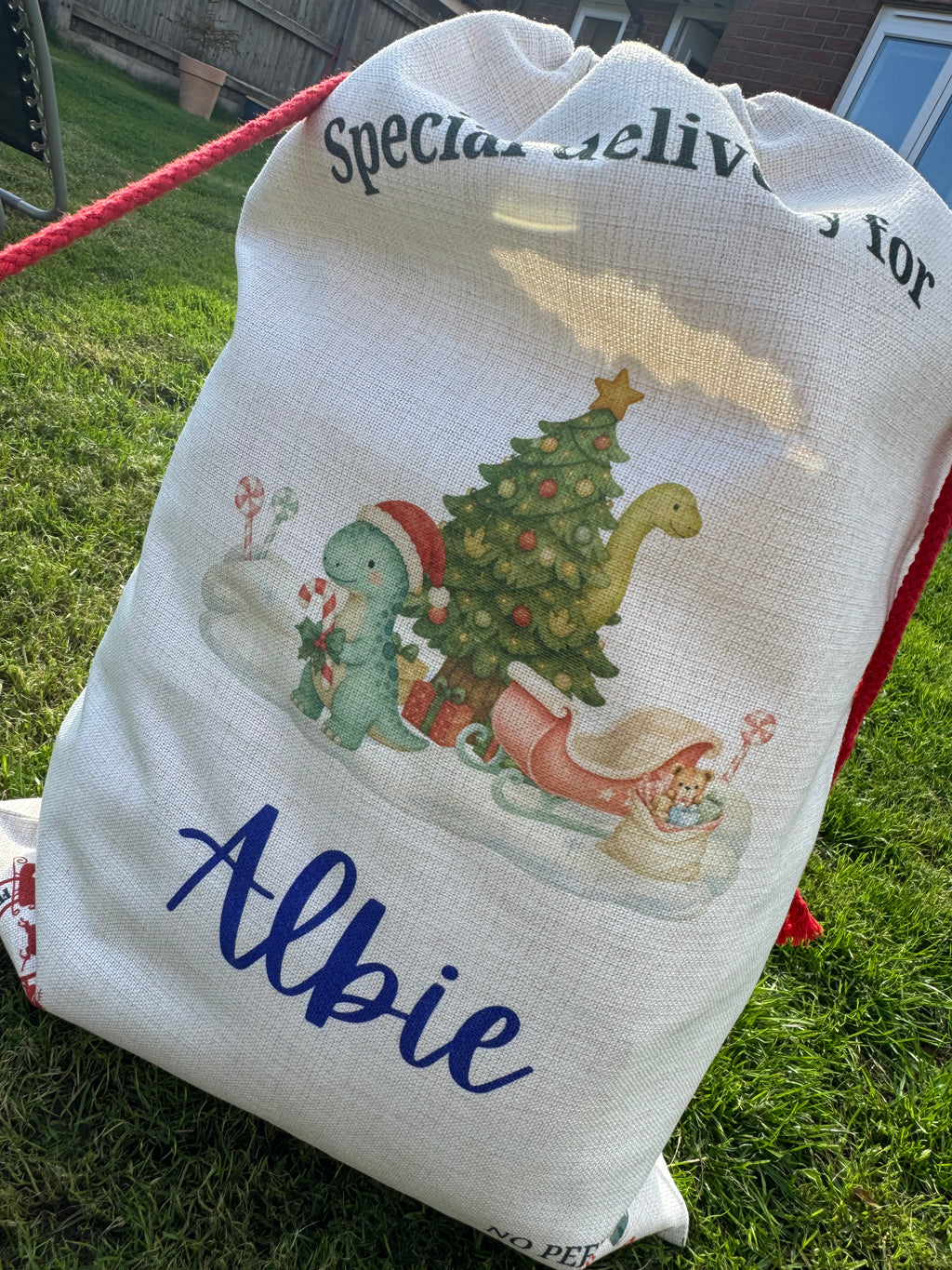Personalised Santa sack - DINO’s
