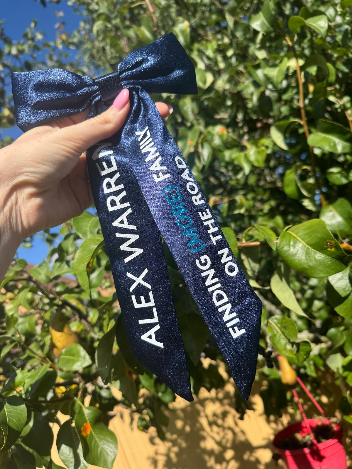 Inspired by Alex Warren tour bow - FMFOTR